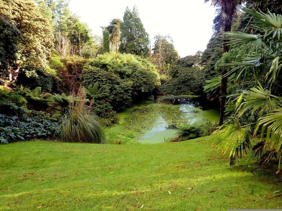 White Eden Retreat: Cozy King Bed & Pet-Friendly Oasis in Cornwall St Austell Exterior photo